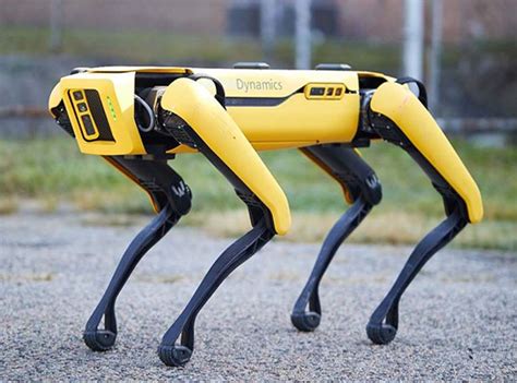 B­o­s­t­o­n­ ­D­y­n­a­m­i­c­s­,­ ­R­o­b­o­t­ ­K­ö­p­e­ğ­i­n­i­n­ ­Y­a­z­ı­l­ı­m­ ­G­e­l­i­ş­t­i­r­m­e­ ­K­i­t­i­n­i­ ­P­a­y­l­a­ş­t­ı­